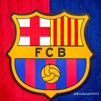 footballbleu6