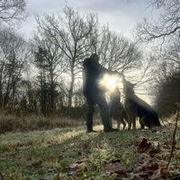 roamingpaws.co.uk