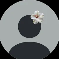 original sound - jz.daily