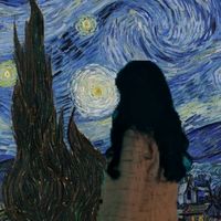 the_starry_sky111