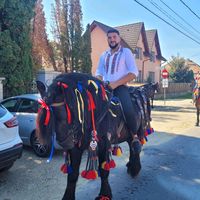 dan_danut