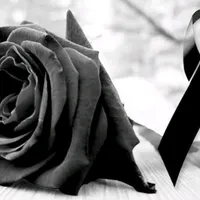 original sound - _yonella87