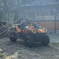 madalin570t