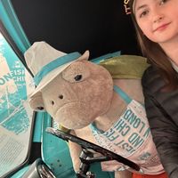 jellycatdetectives