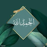 ali____825