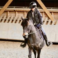 ana.a.poney