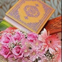 mohamedbassam.2
