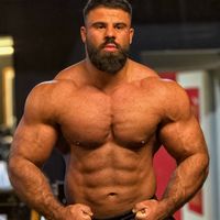 reza_silverback