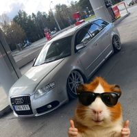 elbino0