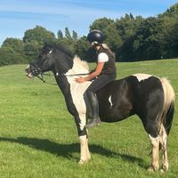 agirlandherhorses1