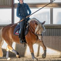 pony_.bande