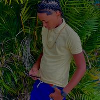 stellann_21
