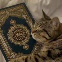 tatar.noor