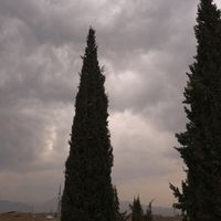 avibesnature