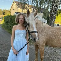 feliciaasverden