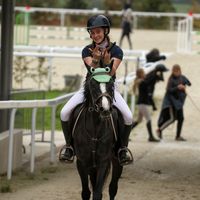 willow_ids