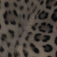 ilayimm_0284