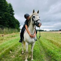 equi.taf