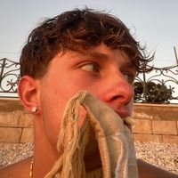 domenico.vino