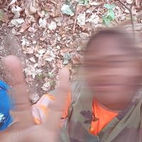 htmwplbr_rblp