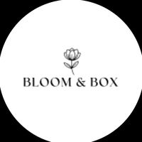 straycatboutique_backup1