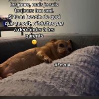 lejeuneenorange1
