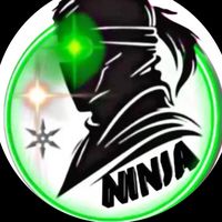 ninja16340