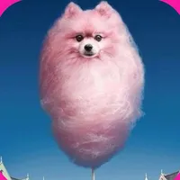 original sound - vmbiez