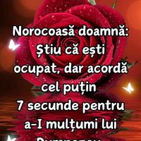 lylylyliana885