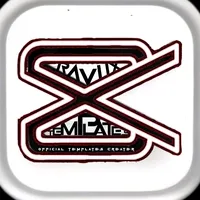 original sound - raviix.template_