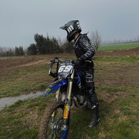fil_yz