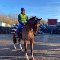 elise.riderslife