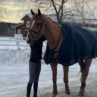 elsa.hast5