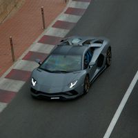 spotted_by_tommy