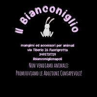 ilbianconiglionapoli