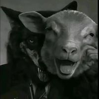 s_8_v_4
