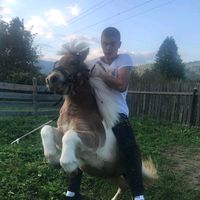 janosgergely5