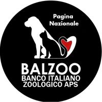 suono originale