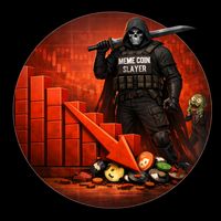 the_meme_coin_slayer