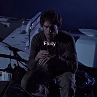 vtxflucy