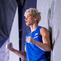 mejdi_schalck