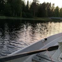 alkuperäinen ääni