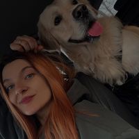 ilincasiroli