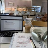 halliestudiesxx