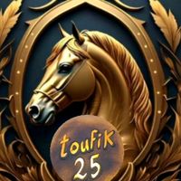 toufi251