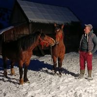 zsoltcsillag1