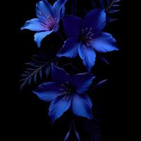 heart_3033