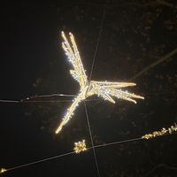 ._simeconocessvete