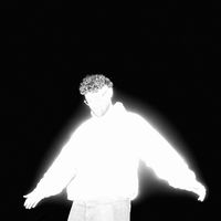 bushbabybeats