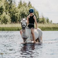 alkuperäinen ääni